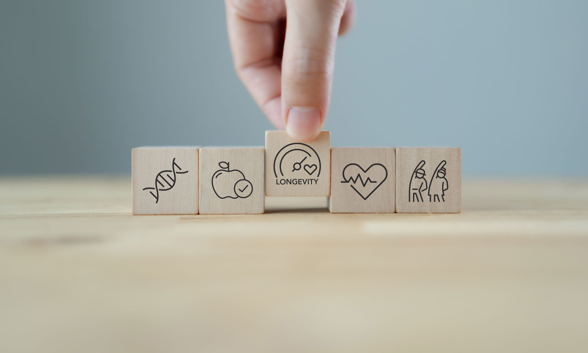 Longevity Diagnostik – Holzbausteine symbolisieren Prävention, Zellgesundheit, Mikrobiom und gesundes Altern