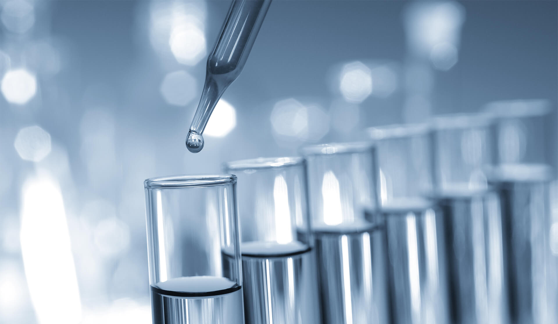 Biologe oder Ernährungswissenschaftler als Fachreferent im Vertriebsaußendienst Gebiet Mainz (m/w/d)